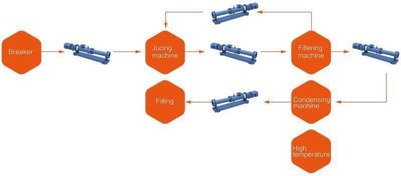 Flowchart of pump for juice processing industry