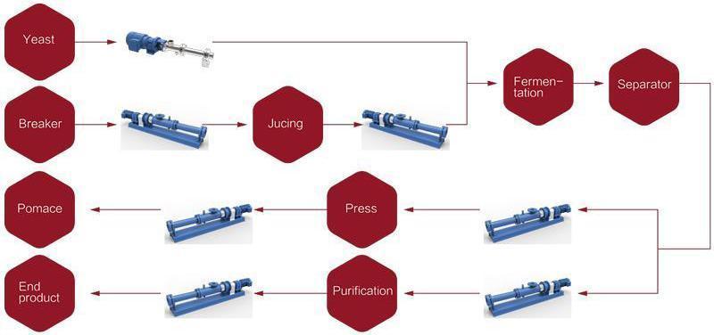 Flowchart of pump for wine processing industry