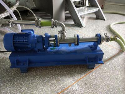 VG020 progressive cavity pump